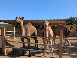 Jarní pobyt na Kypru pro maminky s dětmi